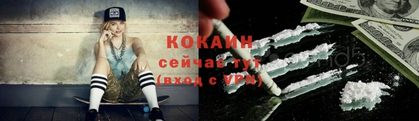 гашик Гусев