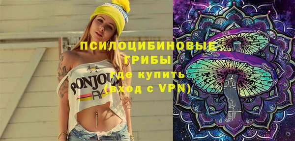 PSILOCYBIN Горнозаводск