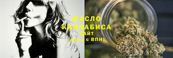 стаф Гусь-Хрустальный