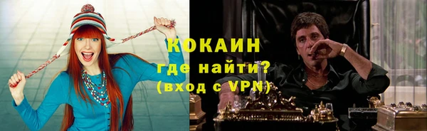 гидра Горняк