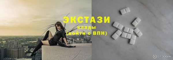 гидра Горняк