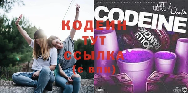 гидра Горняк