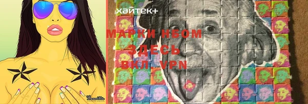 гидра Горняк