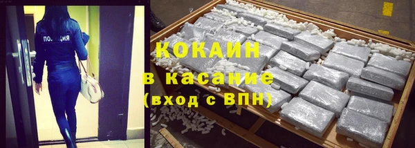 гидра Горняк