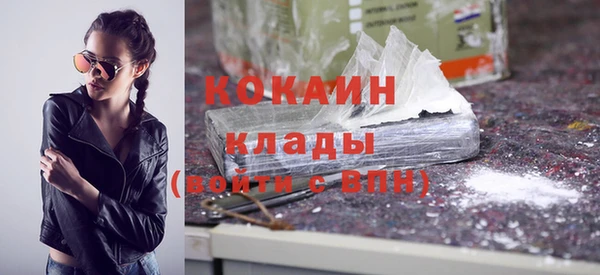 гидра Горняк