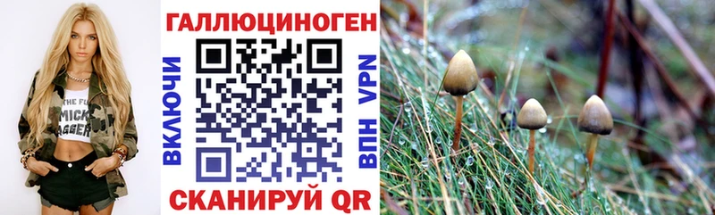 сколько стоит  Пикалёво  omg маркетплейс  Псилоцибиновые грибы MAGIC MUSHROOMS 